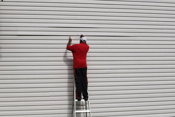 Best Aluminum Siding Installation  in Rigby, ID