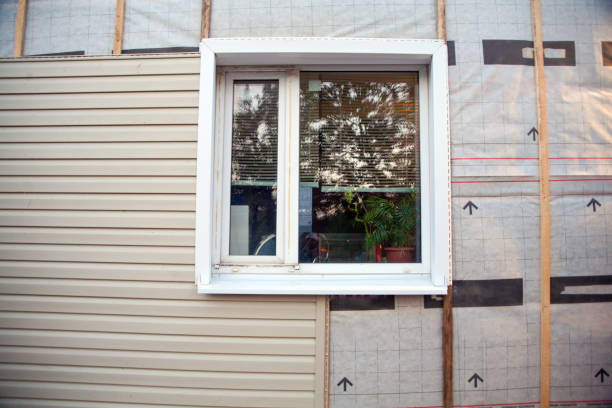 Best Steel Siding Installation  in Rigby, ID